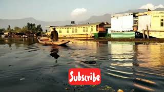 In the midst of the jewel of Kashmir. The Dal lake.