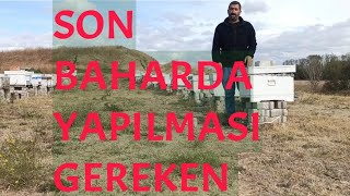 Arıya son baharda yapılması gereken ve varroa detaylı anlatım ne fayda