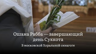 Ошана Рабба — завершающий день Суккота