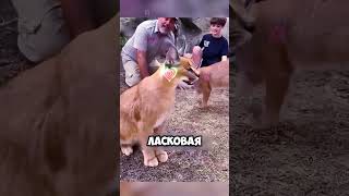 Последний день работы в Зоопарке 🐘🦘 #животные #милыеживотные