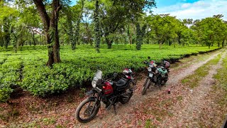 Ride to Tea gardens(Assam) | Guess the location ???