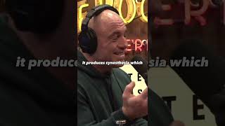 THE GREATEST THEORY OF ALL TIME #joerogan #theory