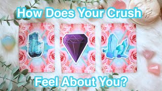 ✨How Does Your Crush See you👀Pick A Card Timeless Tarot Reading