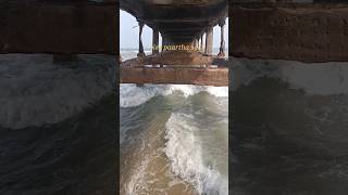 Paathagathi Kannupattu #kazhugu #yuvan #tamilshorts #travel #trending #viral #tamilsongs #tamilbgm