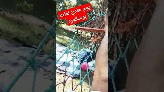 يوم هادئ بغابة بوسكوره Foret Bouskoura