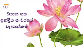 ධ්‍යාන සහ ඉන්ද්‍රිය සංවරයේ වැදගත්කම - Dhyana & guarding senses