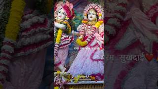 Day 12 kartik mass |Radharani ki jai #radhakrishna #krishna #radha #ytshorts #trending #love #day12