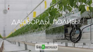 Весы AgroLabs W-Sens. Работы с показателями весов (Дашборды).