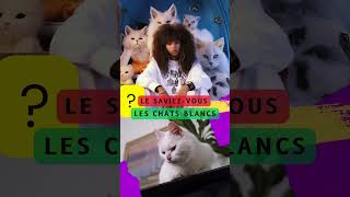 ? Le saviez-vous : les chats blanc que vous aimez tant #chats #animals #ai