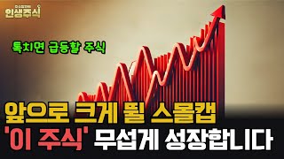 앞으로 크게 뛸 스몰캡 '이 주식' 톡치면 급등할 겁니다 [인생주식]