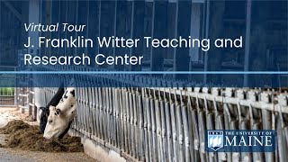 Learn about livestock at the J. Franklin Witter Teaching and Research Center