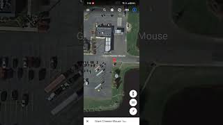 I found a giant rat on Google earth