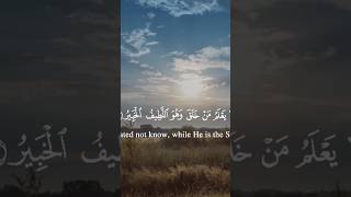 أَلَا يَعْلَمُ مَنْ خَلَقَ وَهُوَ اللَّطِيفُ الْخَبِيرُ♥️ #القارئ_احمد_جلال_المصرى #راحة_نفسية