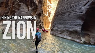 The Narrows in ZION -Bucket List Item CHECK- Spirit Forest - S6 -Ep#16