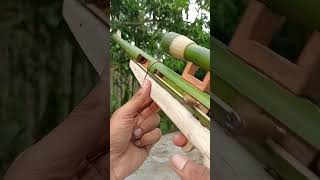 Bamboo Creations with Hydraulic Spring #bamboo #DIY #Toy