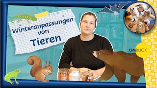 Winteranpassungen von Tieren