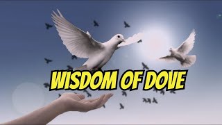 The Fact About Unlocking the Wisdom of the Dove 🕊️