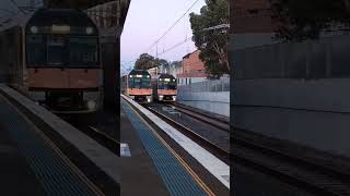 Riverwood Racing Sydney Trains