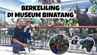 RAHMAT INTERNATIONAL WILDLIFE MUSEUM & G4LLERY