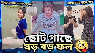 আমের সাইজ দেখিয়ে বিডিও বানায় tik grial roasted By AHMED SHOJIB ROESTED