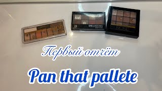 Pan that pallete первый отчёт