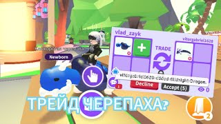 трейд новая черепаха(видео записывалась два дня назад)/Roblox adopt me