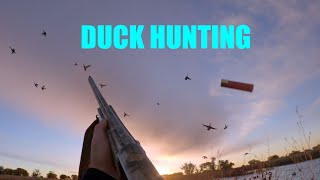 Colorado Duck Hunting