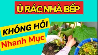 #58 Ủ rác nhà bếp trực tiếp cho cây không bị hôi, nhanh hoai mục