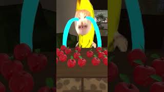 Hungry Bananacat #gmod 😺🍌