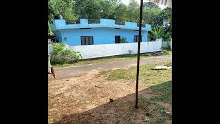 Home for sale in Kollam Kottarakkara #Poovattur House for sale Poovattur Kottarakkara Small budget