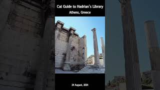 [4K] Cat Guide to Hadrian's Library - Greece Athens #shorts #greece #athens #아테네 #cat #catshorts