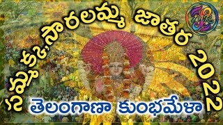 ||Medaram jatara||మేడారం జాతర 2022||చూసొద్దామా?||సారలమ్మను గద్దెపైకి ఎలా తీసుకువస్తారు?