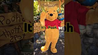 It's Winnie the Pooh #winniepooh #disney #disneyland #disneyparks #jgkix