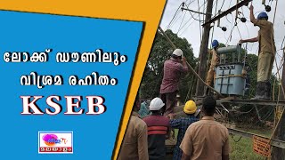 ലോക്ക്ഡൗണിലും വിശ്രമമില്ലാതെ KSEB ജീവനക്കാർ.