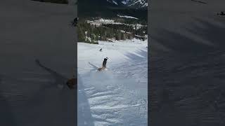 Skier vs Snowboarder who's faster