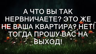 Почему вы так нервничаете? Это же не ваша квартира? Нет! Тогда немедленно покиньте помещение!  ||