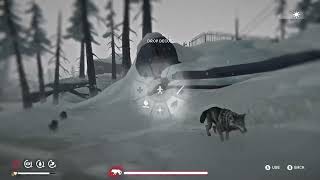 The Long Dark Blackrock Timberwolves END my run!!