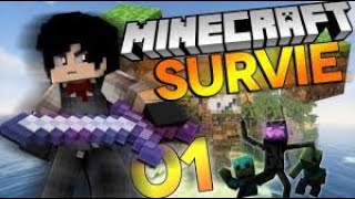 SURVIE DE MALADE SUR MINECRAFT