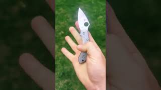 Spyderco dragonfly 2 in k390 w/flytanium titanium scales#asmr#spydercoknives#titanium#edc