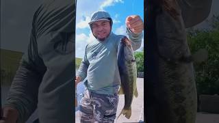 Lake Okeechobee Bass fishing #shortvideo #shorts #fishing