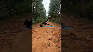 The Art of yoga #yoga #strength #yogaflow #youtubeshorts #shortclips #yoga #viral #gangothriyogini