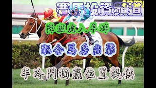 賽馬投資-30/11/2022 香港賽馬第4場貼士心水 WIN PLACE 3X4 HK Horse Racing Tips R4