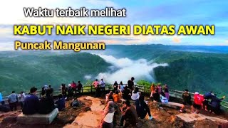 Negeri diatas awan Mangunan ini ada di jogja, pas buat Healing dan liburan lebaran besok