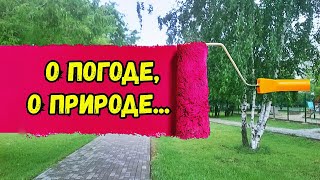 О погоде, о природе ...  #ЛАРАзвезДА