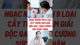 Ngạc Nhiên Với 9 Loại Cây Thuốc Nam Giải Độc Gan##food #biquyetsongkhoetre #shortsvideo