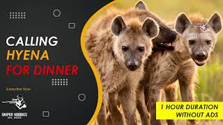 CALLING HYENA FOR DINNER