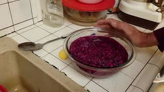 More kitchen time with dragonfruit