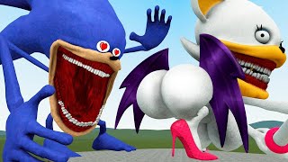 SONIC TAPES LOVE STORY ROUGE TAPES In Garry's Mod !!