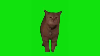 I Go Meow Meme Greenscreen Chroma Key Template