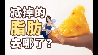 你減掉的脂肪，竟然變成了....！？順便科普一下奧利司他